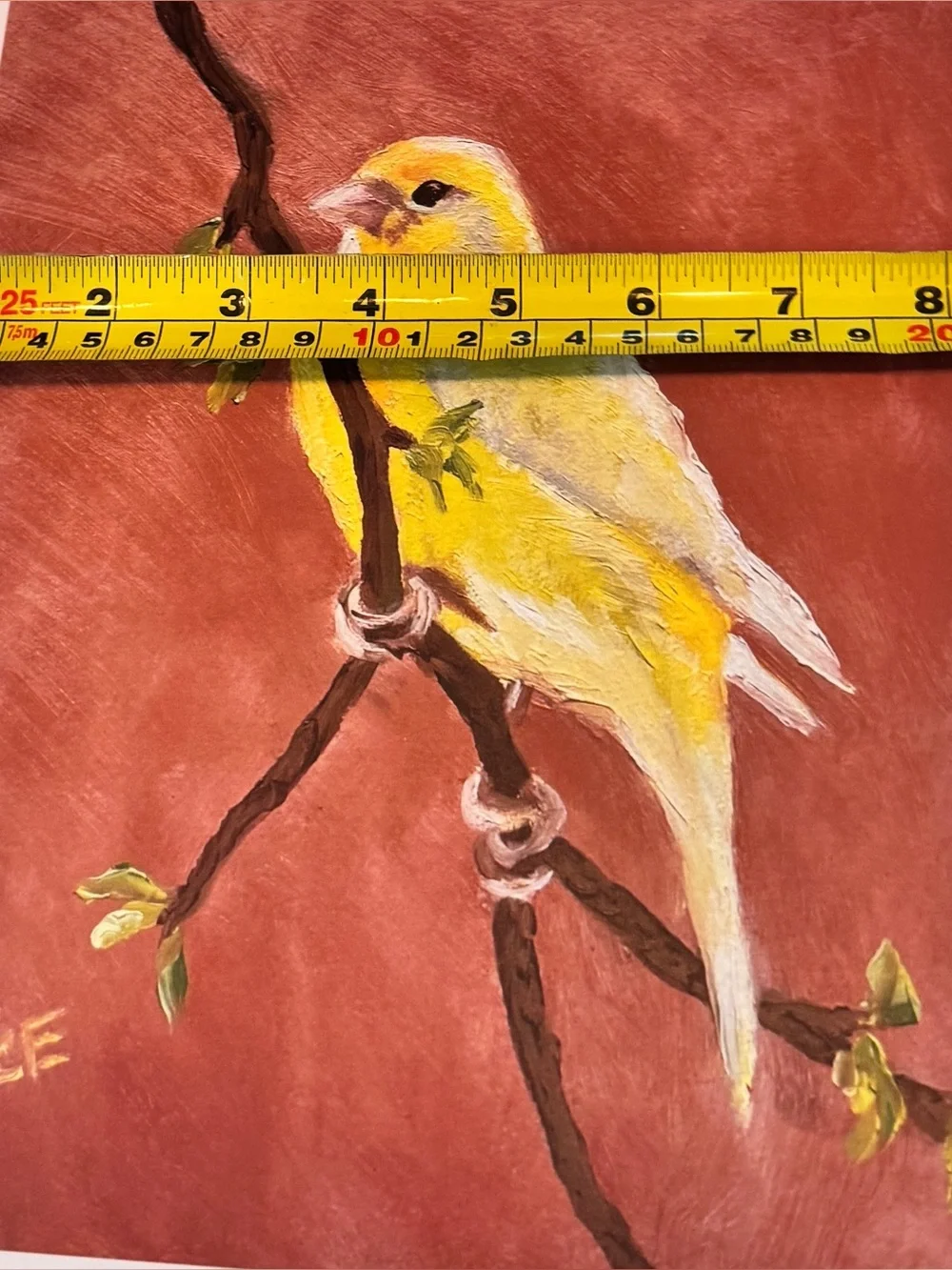12 Birds of the Month for Framing or Crafting original oil paintings P. Clancy